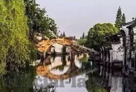 麻豆av在线免费看-麻豆av，网络生态中的灰色地带